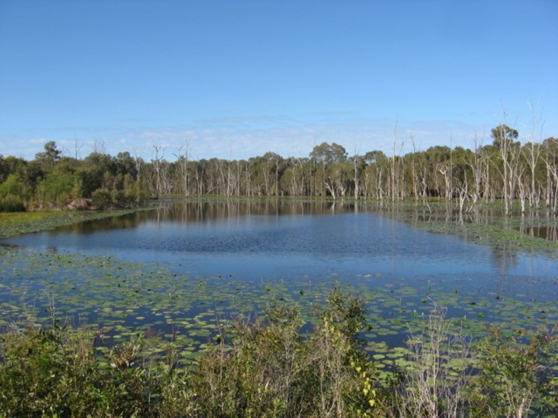 440 Abington Road, Abington QLD 4660