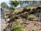 Coringa QLD 4621