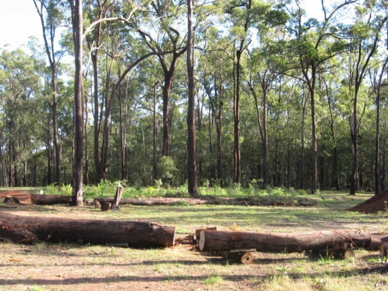 142 Park Avenue, Childers QLD 4660