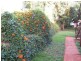 198 Churchill Street, Childers QLD 4660