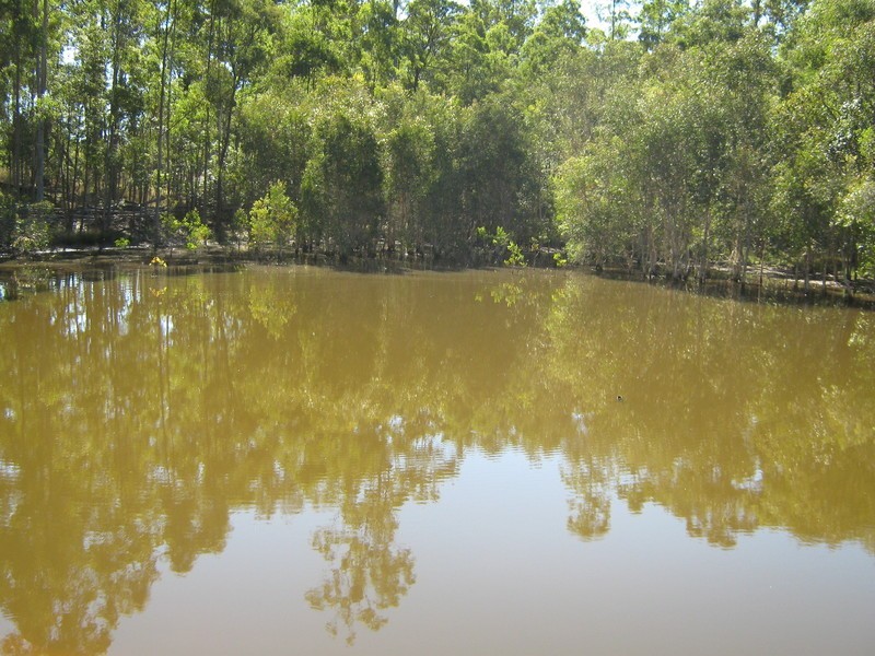 213 Rainbows Road, Childers QLD 4660