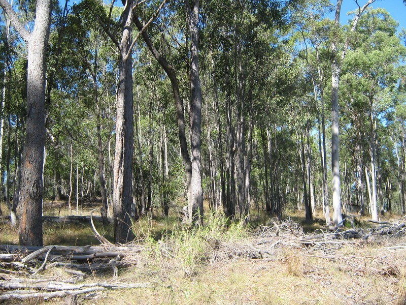 213 Rainbows Road, Childers QLD 4660
