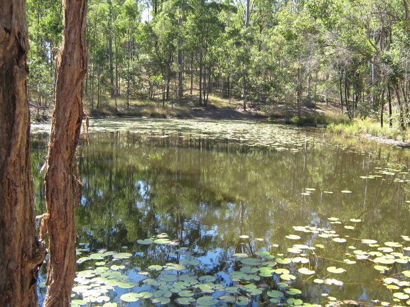 213 Rainbows Road, Childers QLD 4660