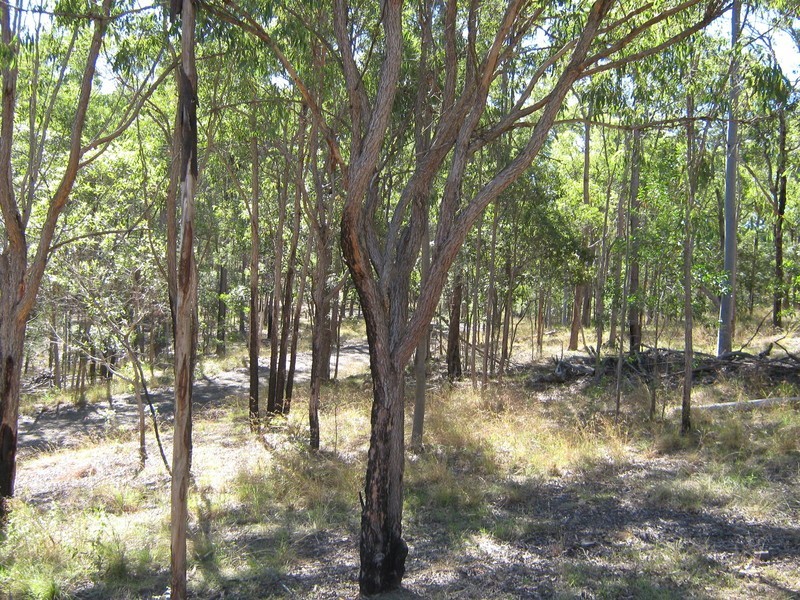213 Rainbows Road, Childers QLD 4660