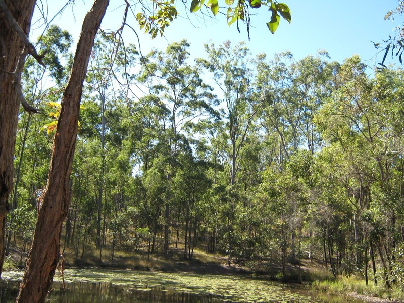 213 Rainbows Road, Childers QLD 4660