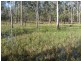 440 Eureka Station Road, Childers QLD 4660