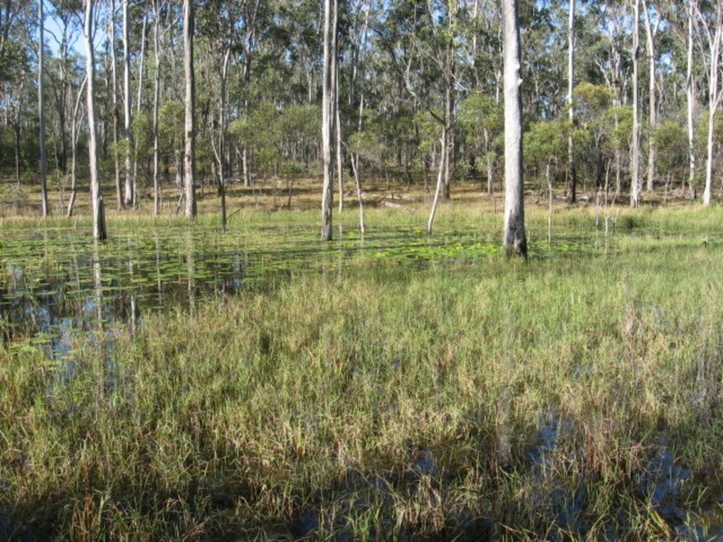 440 Eureka Station Road, Childers QLD 4660