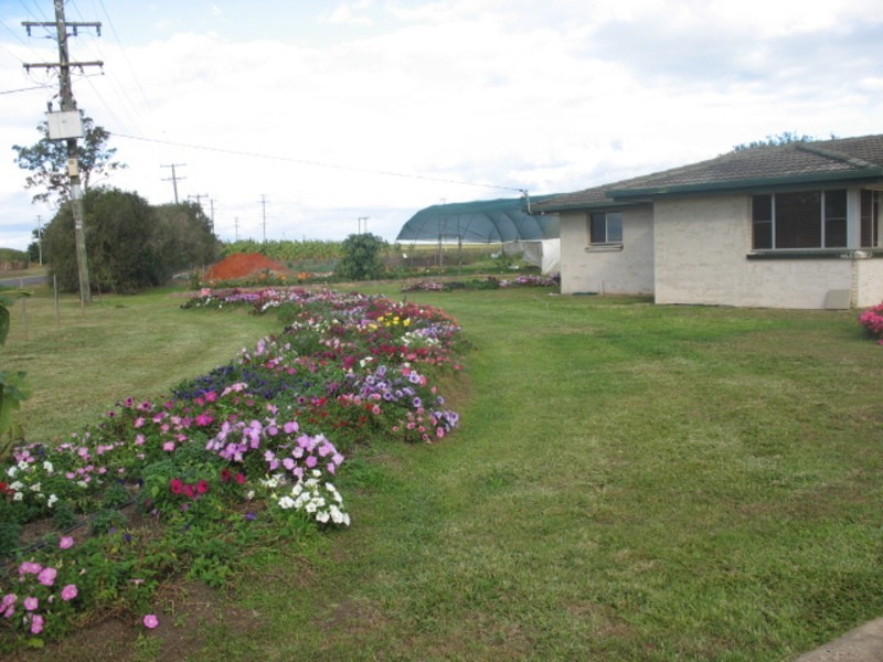 248 Logging Creek Road, Farnsfield QLD 4660