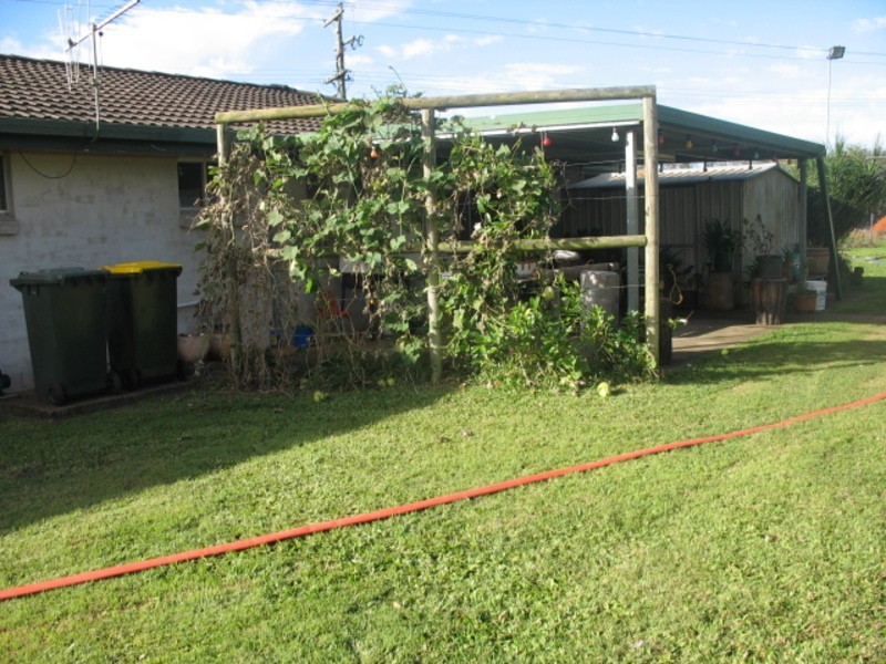 248 Logging Creek Road, Farnsfield QLD 4660
