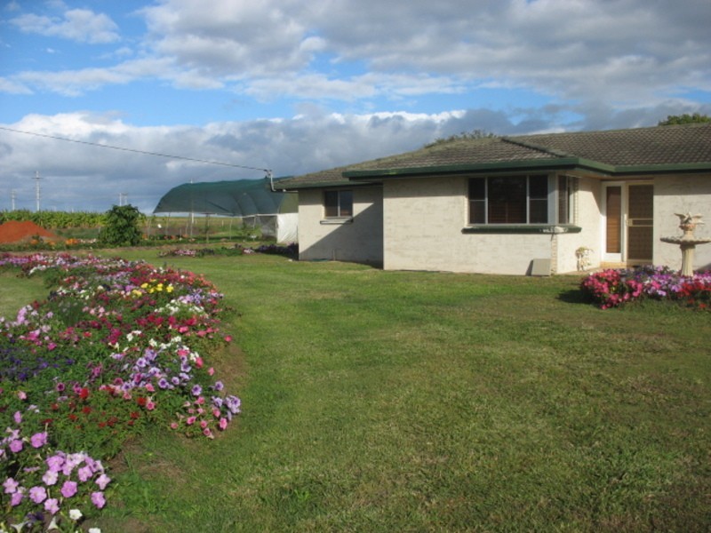 248 Logging Creek Road, Farnsfield QLD 4660