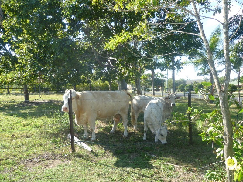 54 Redridge Drive, Redridge QLD 4660