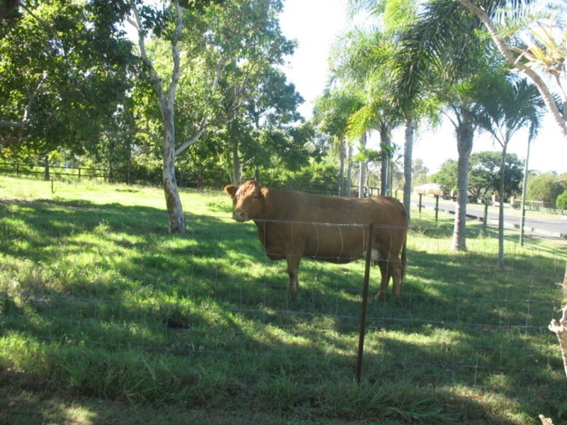 54 Redridge Drive, Redridge QLD 4660