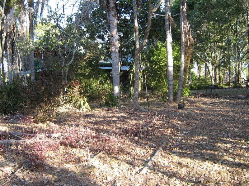 163 Woodgate Road, Woodgate QLD 4660