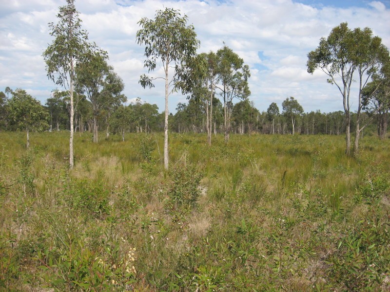 1341 Buxton Road, Buxton QLD 4660