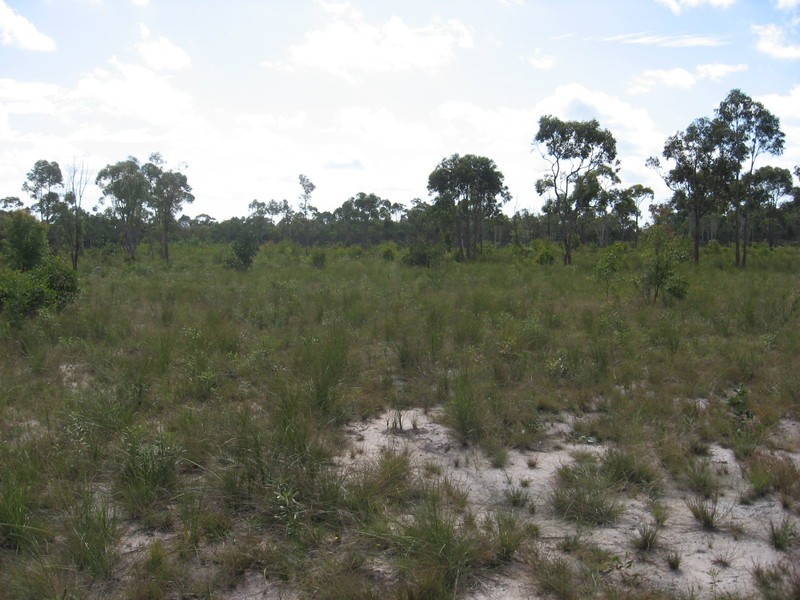 1341 Buxton Road, Buxton QLD 4660