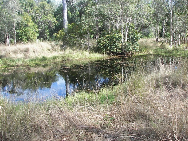 0 Yandaran Road, Monduran QLD 4671