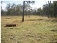 0 Yandaran Road, Monduran QLD 4671