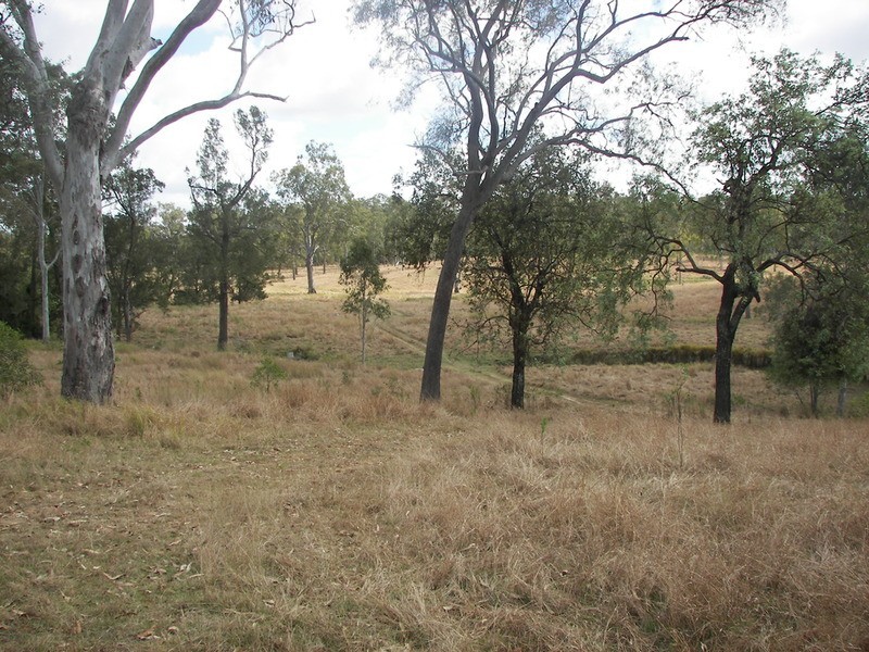 0 Yandaran Road, Monduran QLD 4671