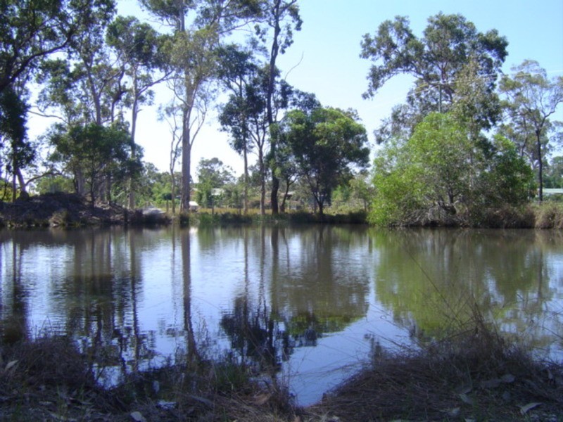1380 Buxton Road, Buxton QLD 4660