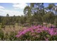 264 Rainbows Road, Childers QLD 4660