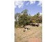 264 Rainbows Road, Childers QLD 4660