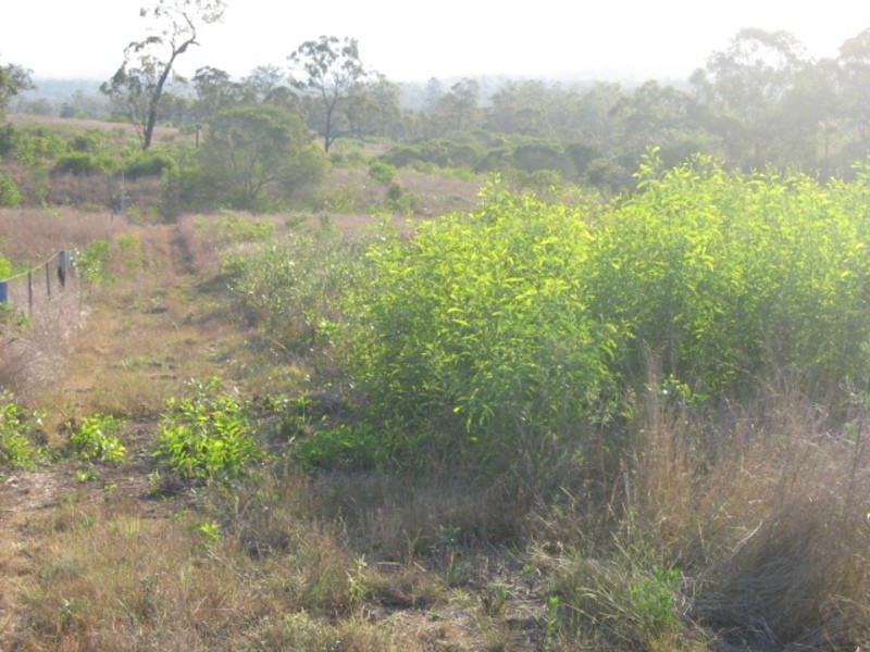 32223 Bruce Highway, Booyal QLD 4671