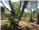 17 Wegert Street, Apple Tree Creek QLD 4660