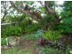 341 Promised Land Road, Cordalba QLD 4660