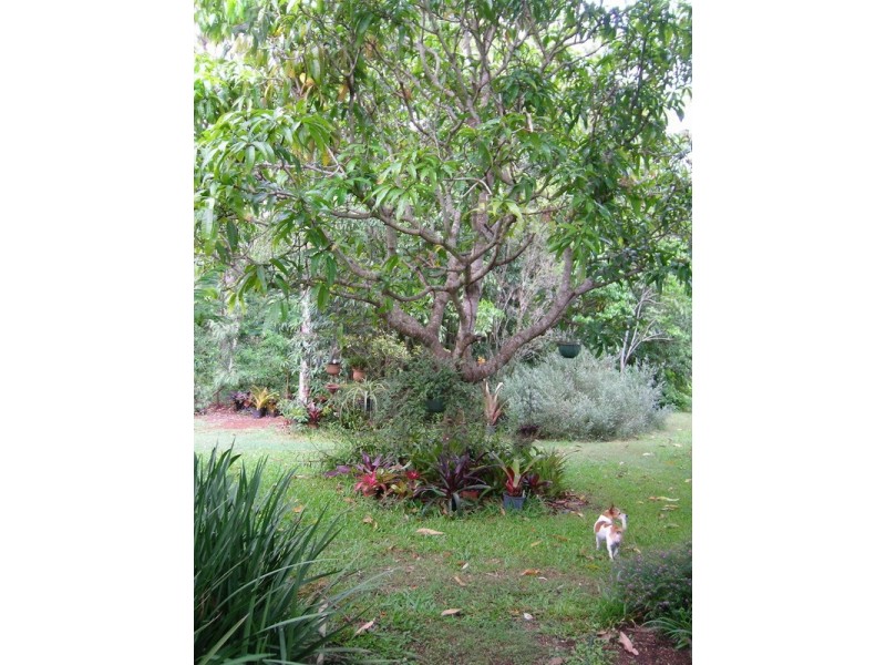 341 Promised Land Road, Cordalba QLD 4660