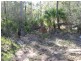 Lot 39 Eureka Road, Golden Fleece QLD 4621