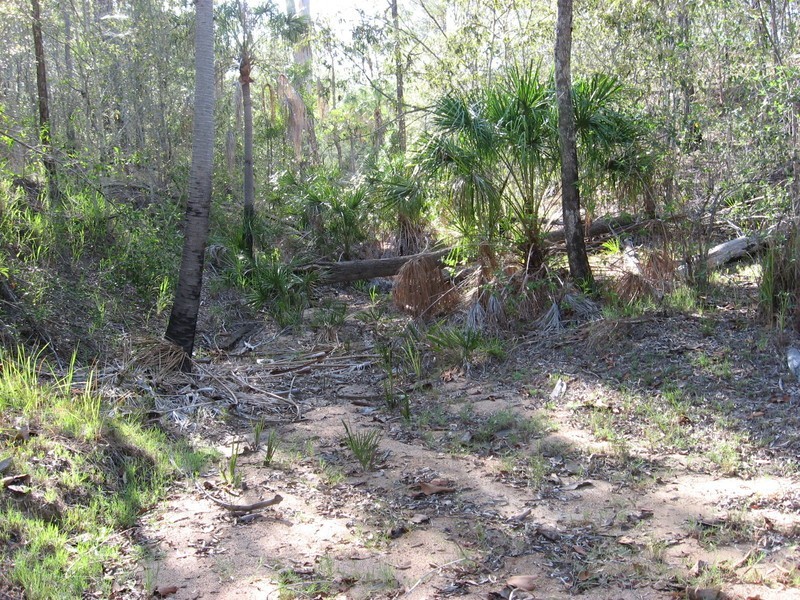 Lot 39 Eureka Road, Golden Fleece QLD 4621