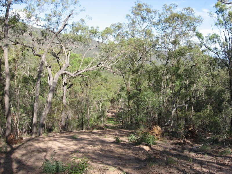 Lot 39 Eureka Road, Golden Fleece QLD 4621