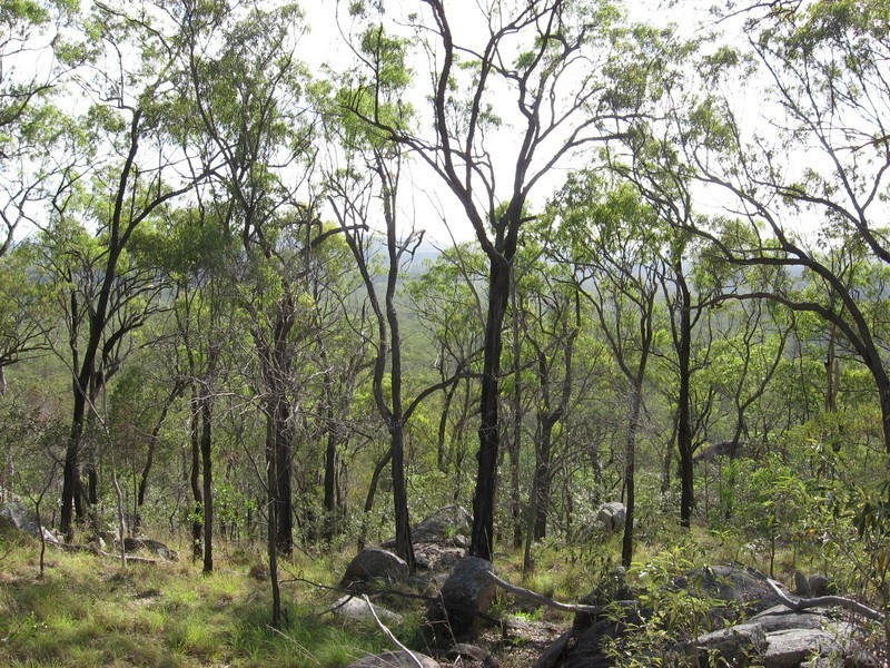 Lot 39 Eureka Road, Golden Fleece QLD 4621
