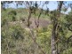Lot 39 Eureka Road, Golden Fleece QLD 4621