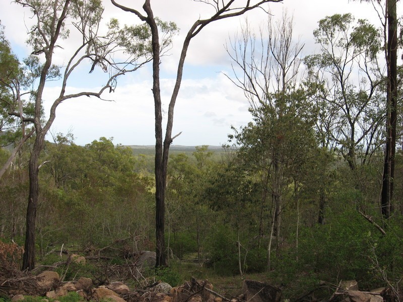 Lot 39 Eureka Road, Golden Fleece QLD 4621