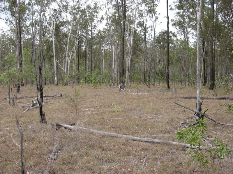 Lot 39 Eureka Road, Golden Fleece QLD 4621