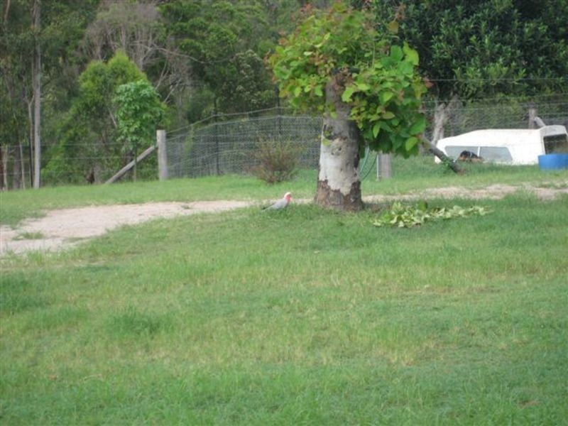 143 Bunns Road, Childers QLD 4660