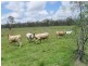 lot 720 Fleece Road, Golden Fleece QLD 4621