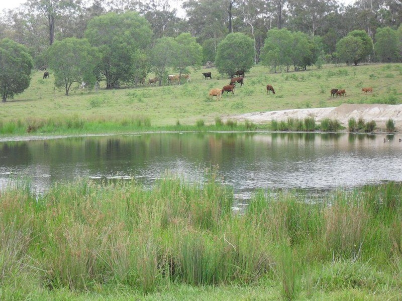 lot 720 Fleece Road, Golden Fleece QLD 4621