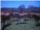 lot 720 Fleece Road, Golden Fleece QLD 4621
