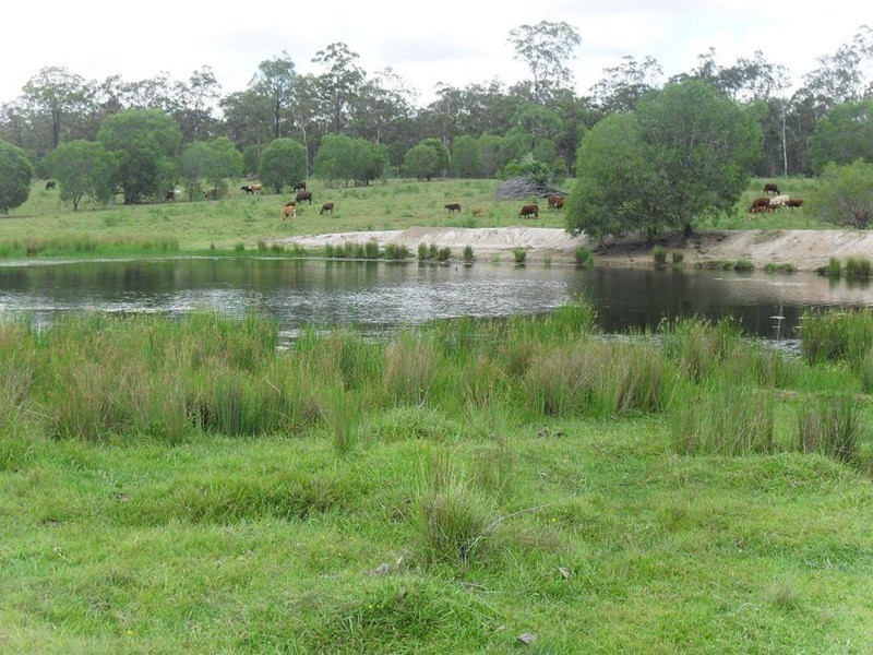 lot 720 Fleece Road, Golden Fleece QLD 4621