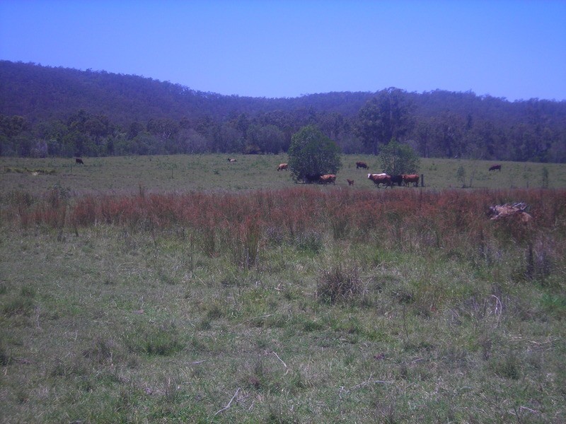 lot 720 Fleece Road, Golden Fleece QLD 4621