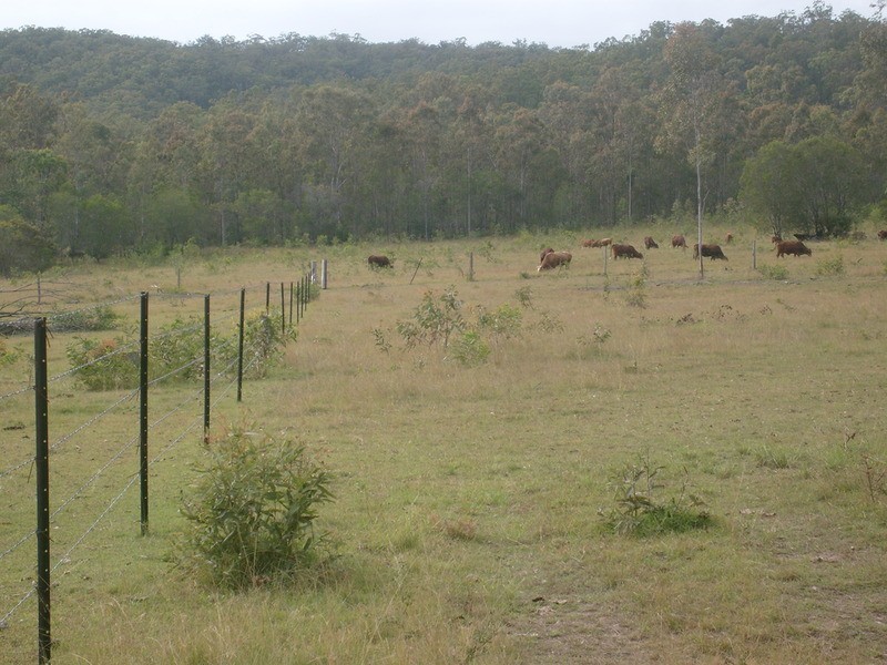 lot 720 Fleece Road, Golden Fleece QLD 4621