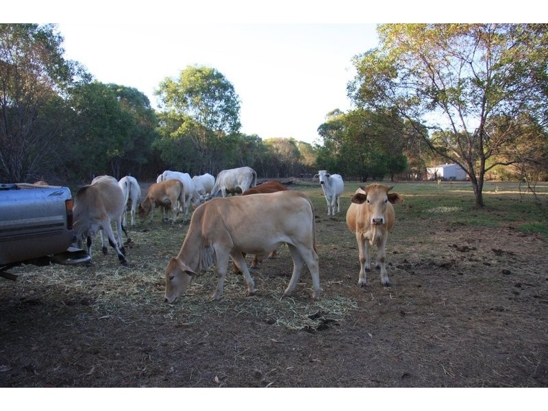 0 Bilsborough Road, Howard QLD 4659