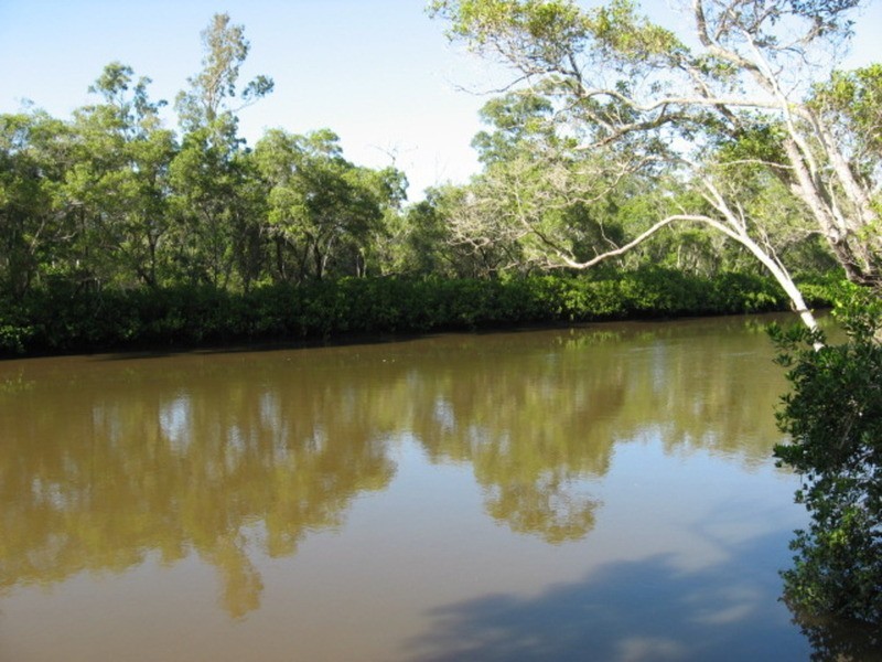 1454 Buxton Road, Buxton QLD 4660