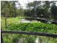 1454 Buxton Road, Buxton QLD 4660