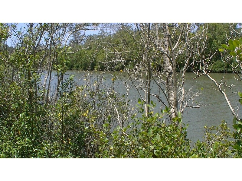 1454 Buxton Road, Buxton QLD 4660