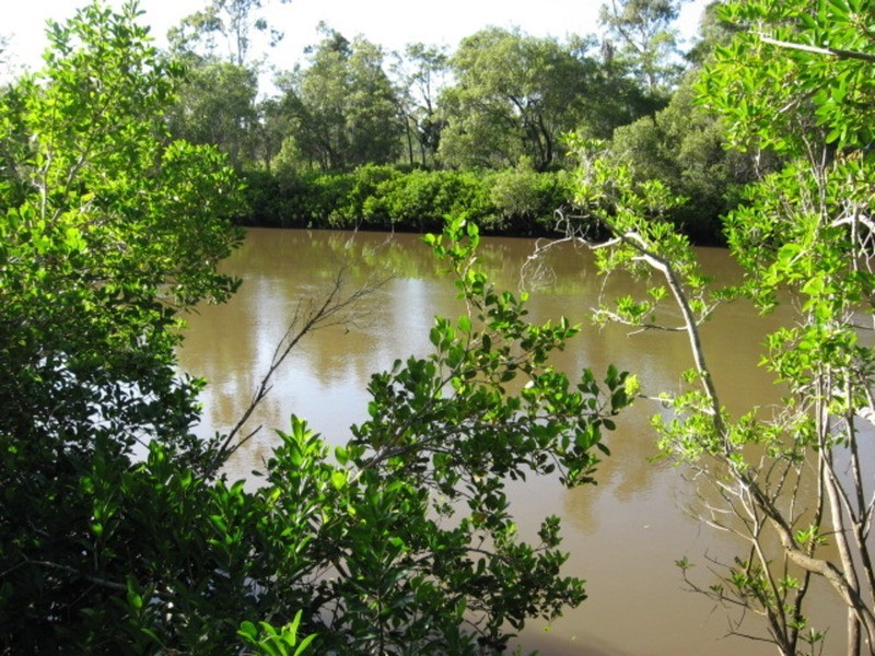 1454 Buxton Road, Buxton QLD 4660