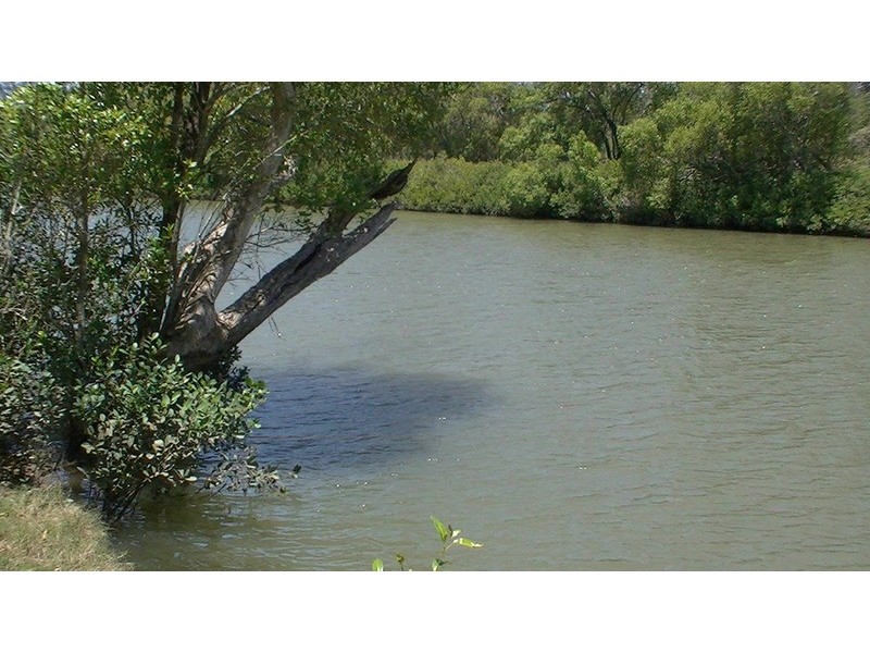 1454 Buxton Road, Buxton QLD 4660