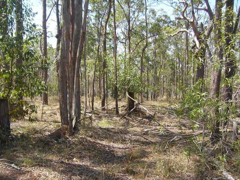 lot 53 Goodwood Road, Redridge QLD 4660